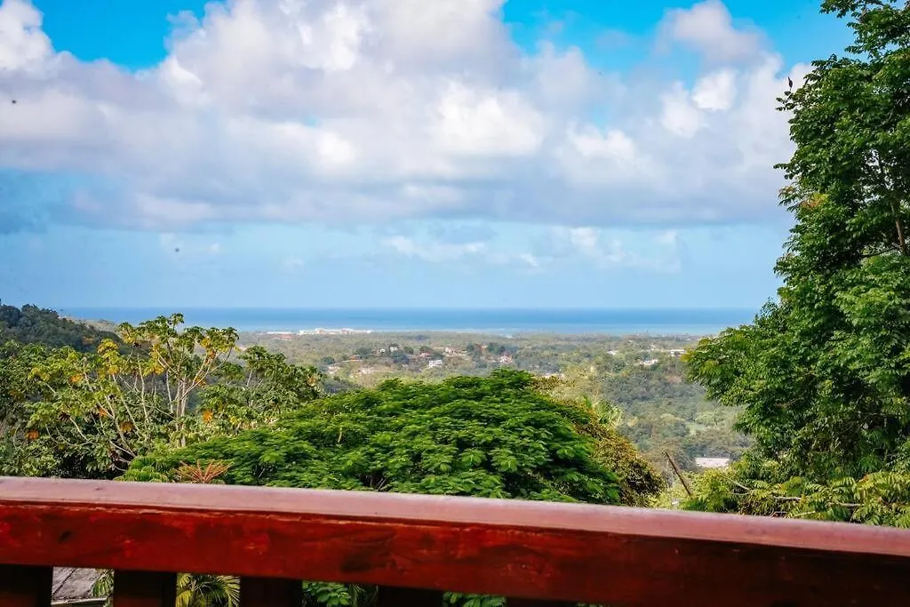 Вилла Casa Alice Cabin House El Yunque Рио-Гранде Дом отдыха