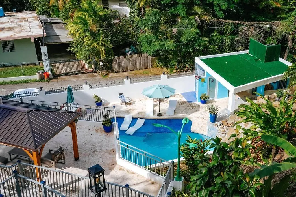 Вилла Casa Alice Cabin House El Yunque Рио-Гранде