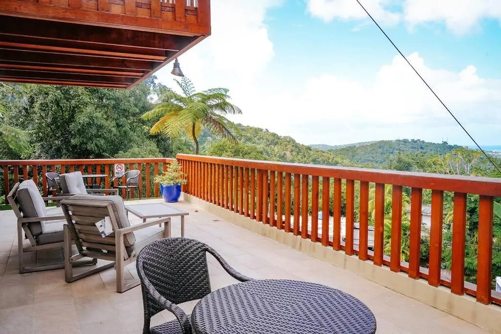 Вилла Casa Alice Cabin House El Yunque Рио-Гранде